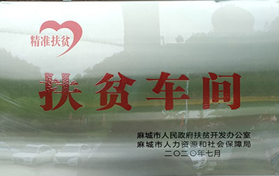 2020精準(zhǔn)扶貧扶貧車(chē)間